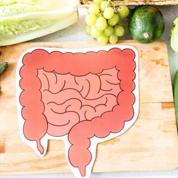 Illustration of the digestive system on a wooden board surrounded by fresh vegetables like lettuce, cucumber, cabbage, leeks, grapes, and avocado